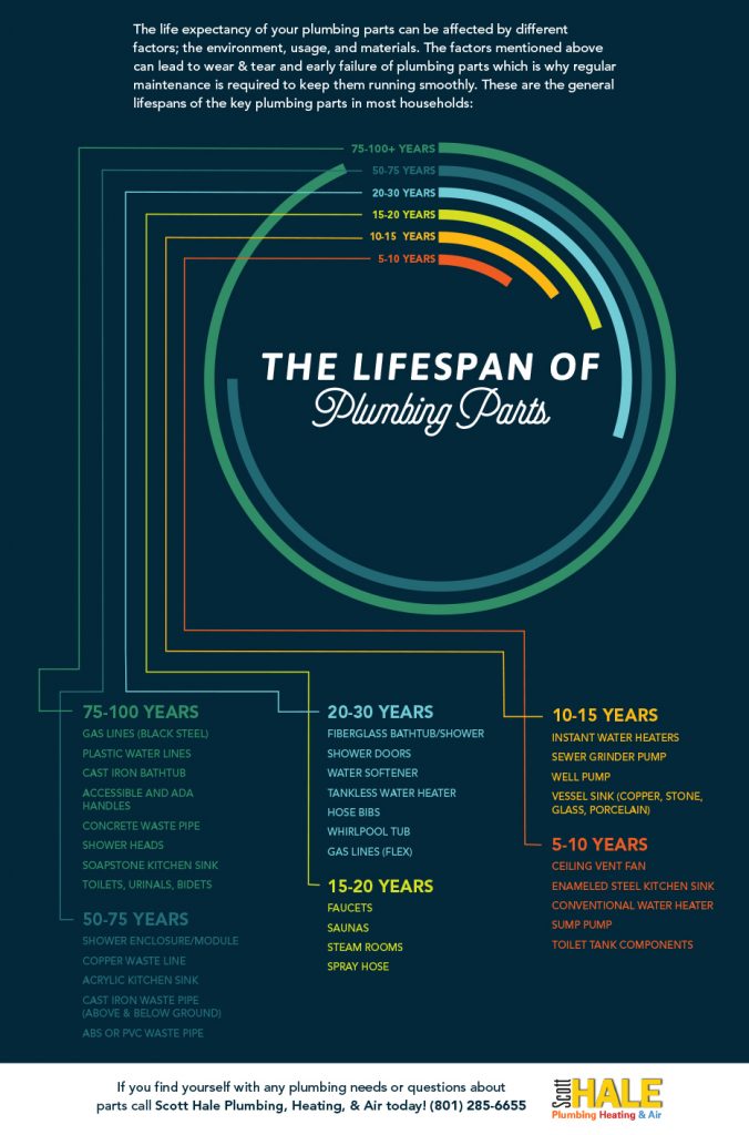 Lifespan-Infographic