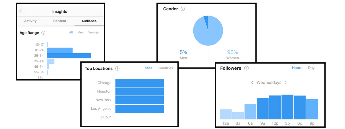 screenshots of instagram audience analytics