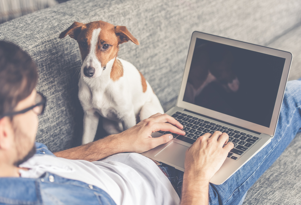 man with dog and computer