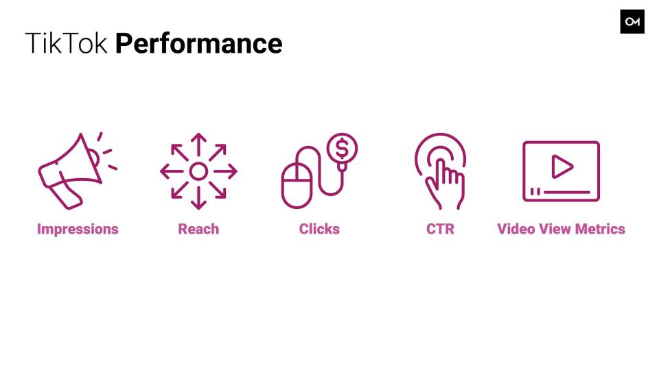 TikTok ad performance